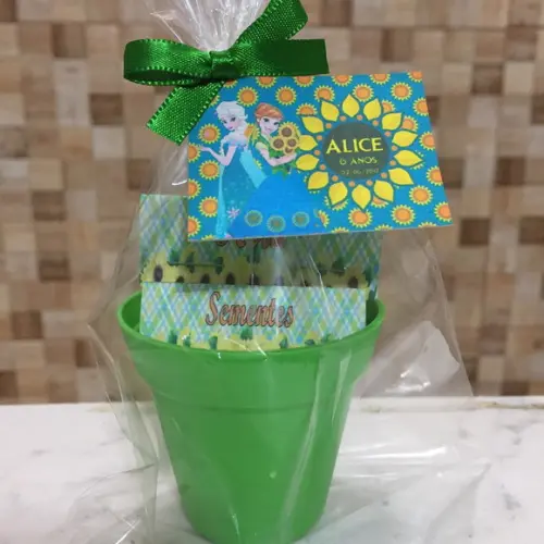 Mini Kit Ecologico Frozen Fever