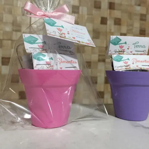 Mini Kit Ecológico Jardim