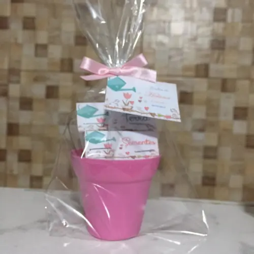 Mini Kit Ecológico Jardim