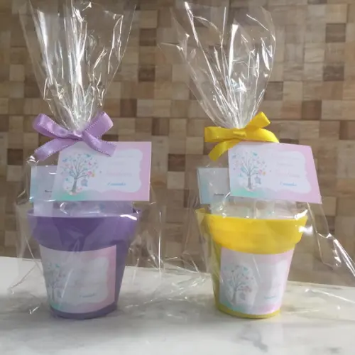 Mini Kit Ecológico Jardim Das Borboletas
