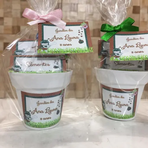 Mini Kit Ecologico Jardim Joaninha