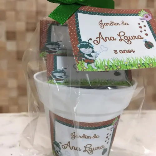 Mini Kit Ecologico Jardim Joaninha