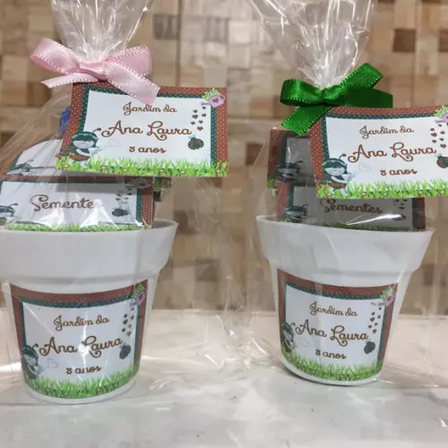 Mini Kit Ecologico Jardim Joaninha