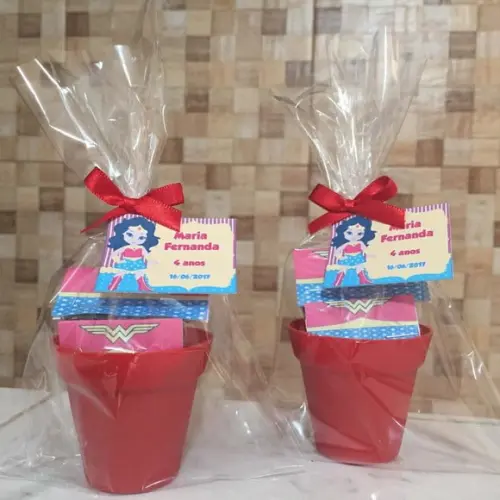 Mini Kit Ecológico Mulher Maravilha