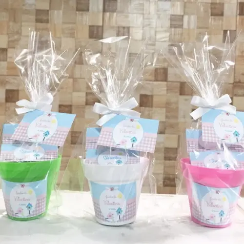 Mini Kit Ecológico Plantio Jardim
