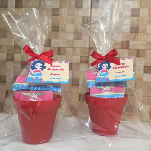 Mini Kit Ecológico Mulher Maravilha
