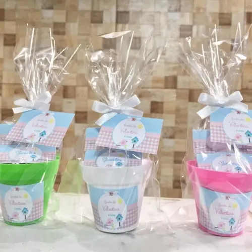 Mini Kit Ecológico Plantio Jardim