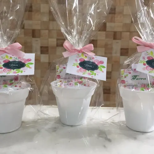 Mini Kit Ecológico Plantio Jardim