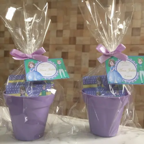 Mini Kit Ecológico Princesa Sofia