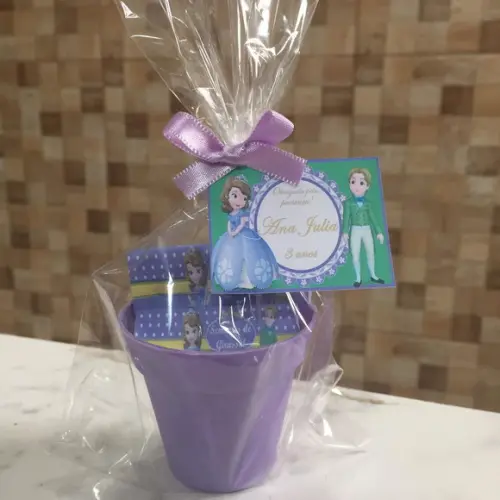 Mini Kit Ecológico Princesa Sofia