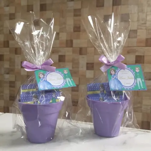 Mini Kit Ecológico Princesa Sofia