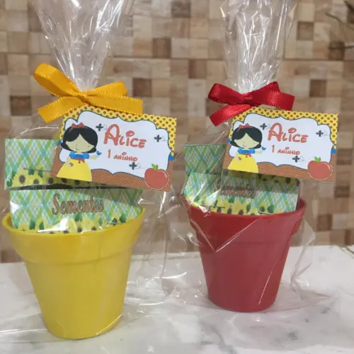 Mini Kit Jardim Branca De Neve Cute