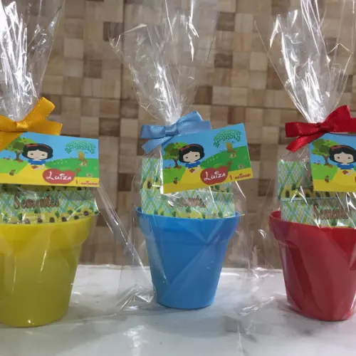 Mini Kit Jardim Branca De Neve Cute