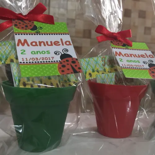 Mini Kit Jardim Joaninha
