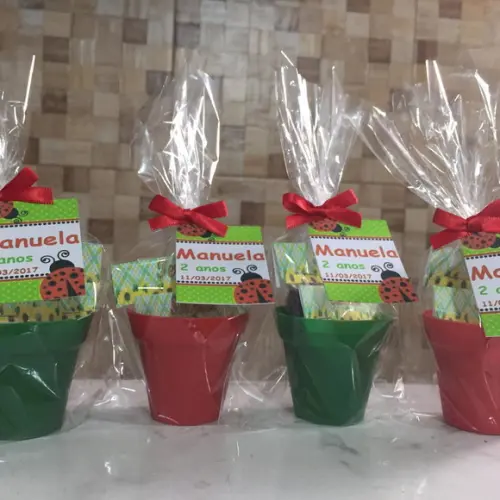 Mini Kit Jardim Joaninha