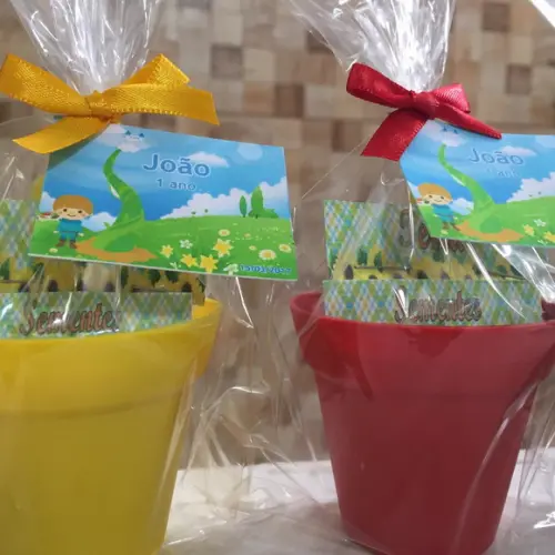 Mini Kit Jardim João E O Pé De Feijão