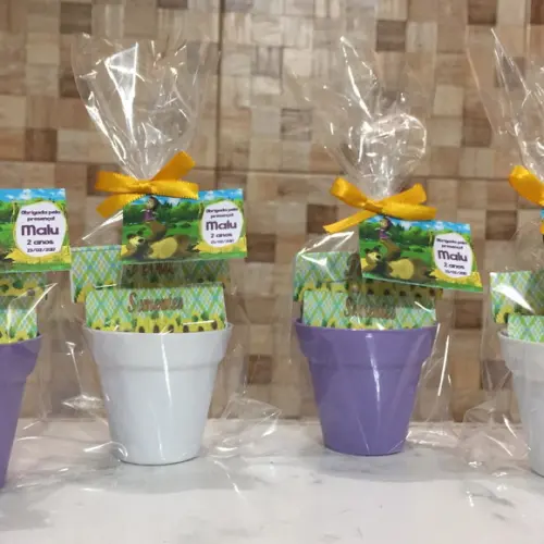 Mini Kit Jardim Plantio Urso