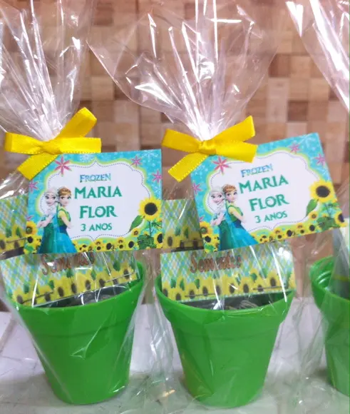 Mini Kit Jardinagem - Frozen Fever
