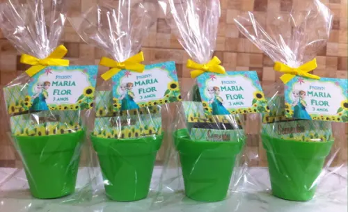 Mini Kit Jardinagem - Frozen Fever