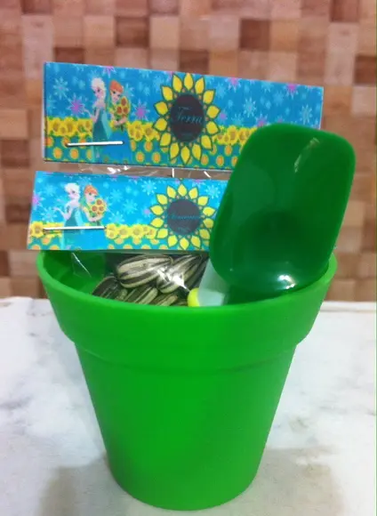 Mini Kit Jardinagem - Frozen Fever