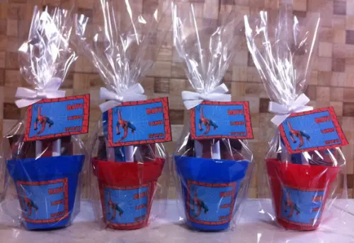Mini Kit Jardinagem - Homem Aranha