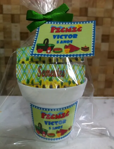 Mini Kit Jardinagem - Picnic
