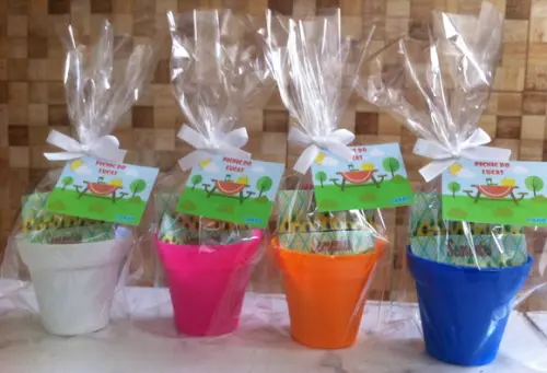 Mini Kit Jardinagem - Picnic