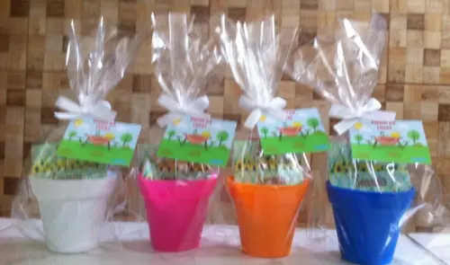 Mini Kit Jardinagem - Picnic