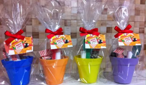 Mini Kit Jardinagem - Picnic
