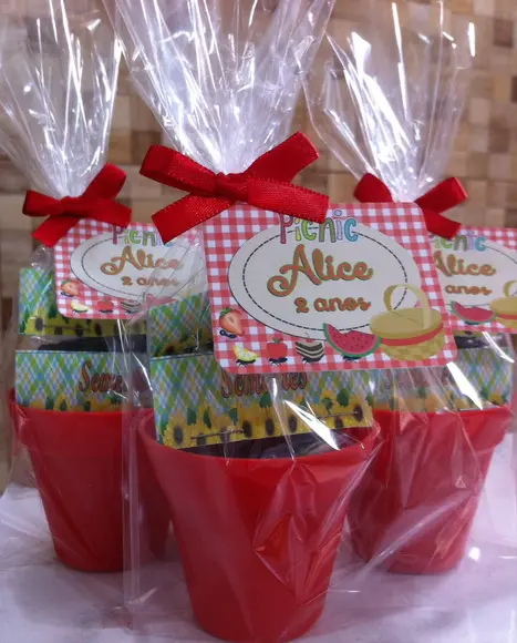 Mini Kit Jardinagem - Picnic