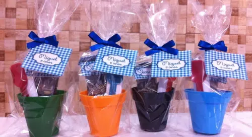Mini Kit Jardinagem - Vários Temas