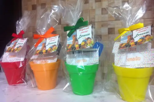 Mini Kit Jardinagem - Vários Temas