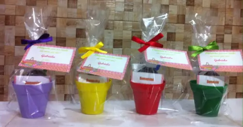 Mini Kit Jardinagem - Vários Temas