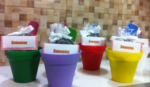 Mini Kit Jardinagem - Vários Temas