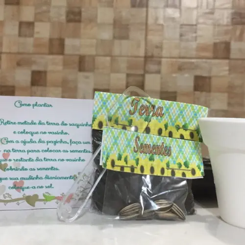 Mini Kit Jardinagem Ecológico