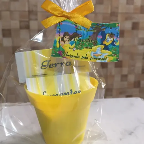 Mini Kit Plantação A Bela E A Fera