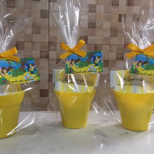 Mini Kit Plantação A Bela E A Fera