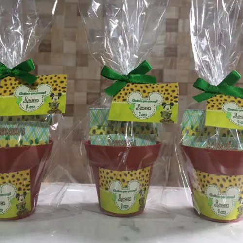 Mini Kit Plantação Mickey Safari
