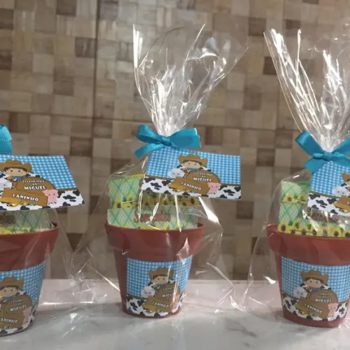 Mini Kit Plantação Fazendinha