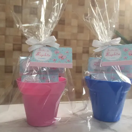 Mini Kit Plantação Jardim Das Borboletas
