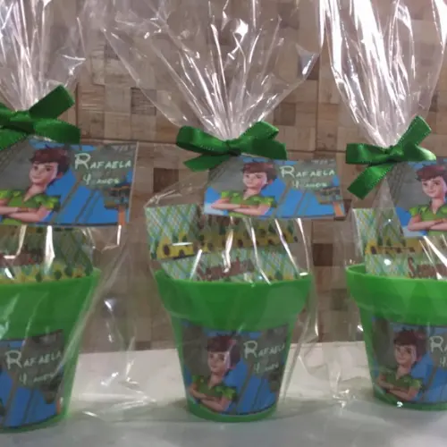 Mini Kit Plantação Peter Pan