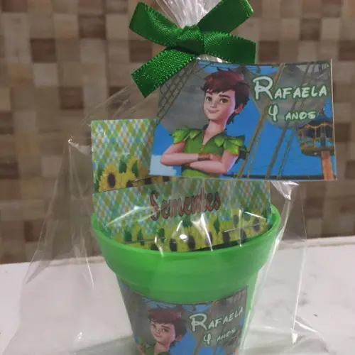 Mini Kit Plantação Peter Pan