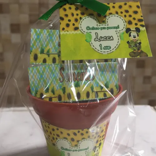 Mini Kit Plantação Mickey Safari