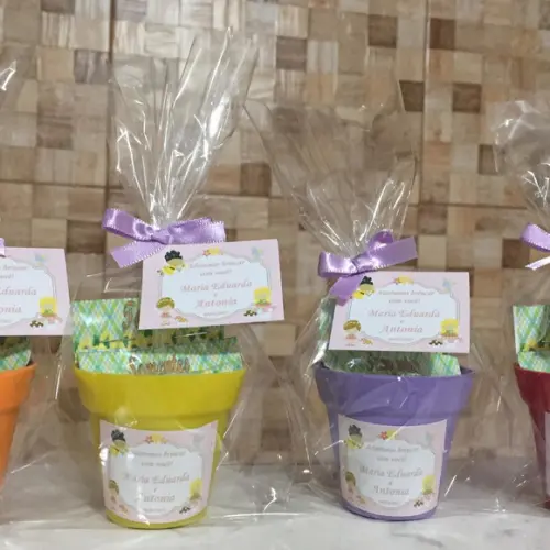 Mini Kit Plantio - Jardim Das Fadas