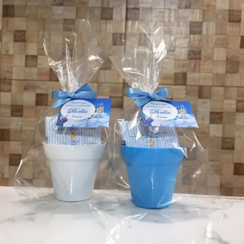 Mini Kit Plantio Cinderela