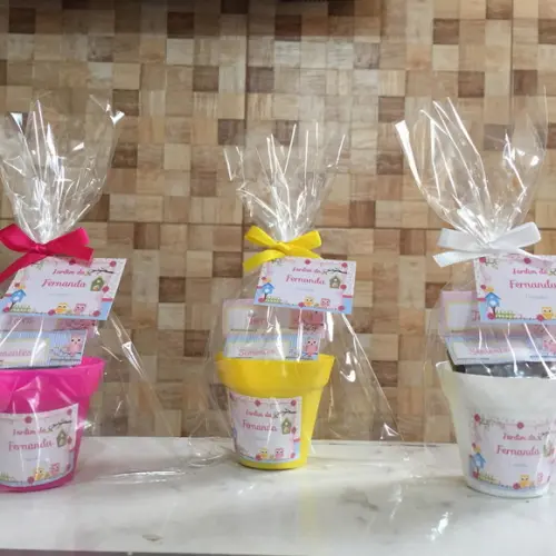 Mini Kit Plantio Ecologico - Coruja