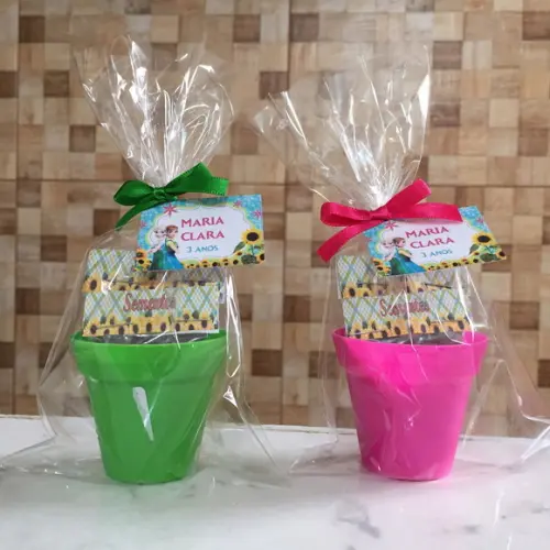 Mini Kit Plantio Ecologico - Frozen