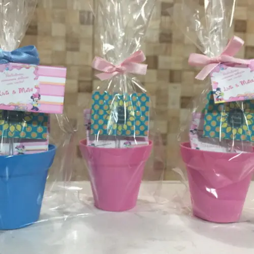Mini Kit Plantio Minnie
