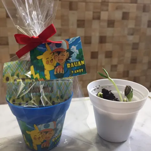 Mini Kit Plantio Pokemon