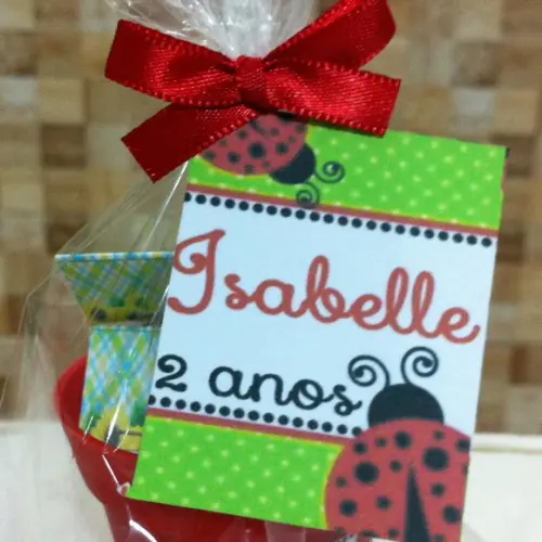 Mini Kit Tema Joaninha
